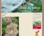 Pas si bete