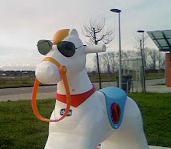 ca va roxer du poney